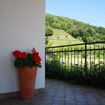 Casa San Pietro *